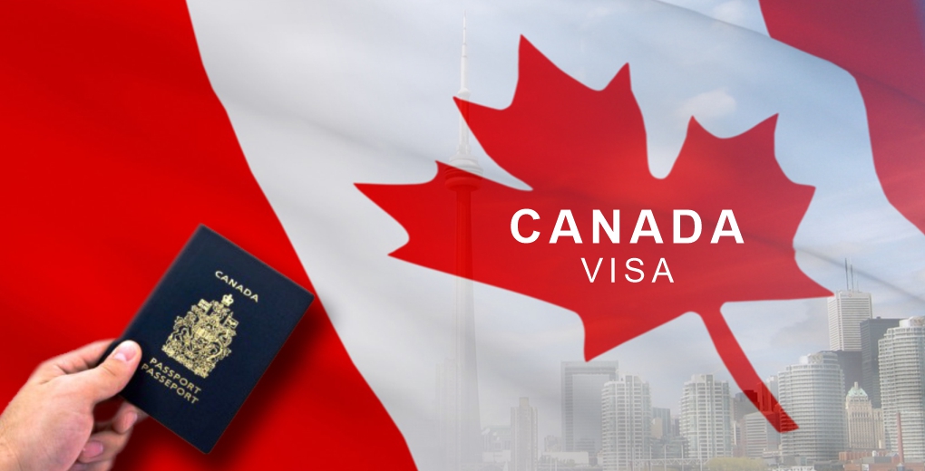 Canada Visa Application: 100% Working Guide